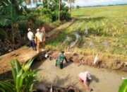 Babinsa Koramil 1420-05/Dua Pitue Bantu Irigasi