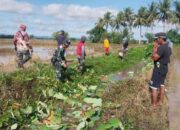 Babinsa Koramil 06/Panca Rijang Pimpin Bersihkan Irigasi