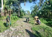Babinsa Desa Passeno Pimpin Aksi Perbaikan Jalan Tani