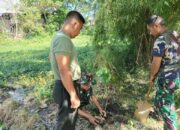 Sertu Darwis dan Aksi Hijau di Tengah Tugas Militer