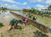 Babinsa Desa Bulo Wattang Sinergi dengan Petani