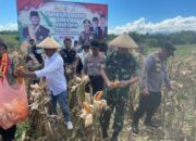 Letkol Inf Awaloeddin Panen Bareng Bupati