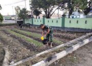 Personel Koramil Ubah Lahan Tidur Jadi Ladang Pangan!