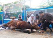 Wakapolda Sulsel Tunjukkan Wajah Lain Polisi di Idul Adha