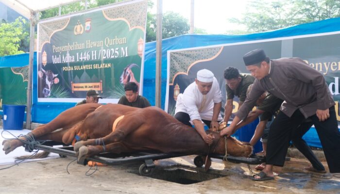 Wakapolda Sulsel Tunjukkan Wajah Lain Polisi di Idul Adha
