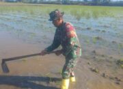 Aksi Mengejutkan Babinsa Desa Talumae