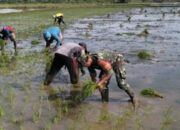 Babinsa Kel. Sidenreng: TNI Tak Cuma Jaga Negara!