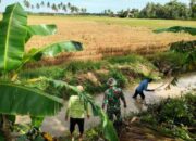 Aksi Babinsa Desa Dongi Diapresiasi Warga