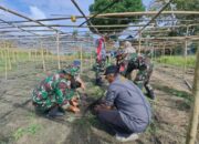 Danramil Maritengngae dan Aksi Hijau, Warga Beri Apresiasi
