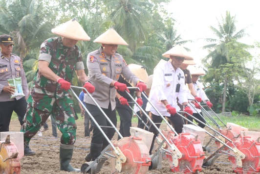 Kapolres Sidrap AKBP Dr. Fantry Taherong bersama Forkopimda dan TNI menanam jagung secara simbolis di Sidrap, Rabu (9/7/2025)