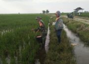 Babinsa Sidenreng Diantara Peluh dan Bakti