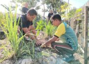 Pasipers Kodim 1420/Sidrap Pimpin Penghijauan Asrama TNI