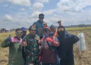Babinsa bersama Petani, Bukti Nyata Kemanunggalan TNI-Rakyat