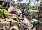 Babinsa Desa Cirociroe Satukan Tenaga, Bikin Petani Lega