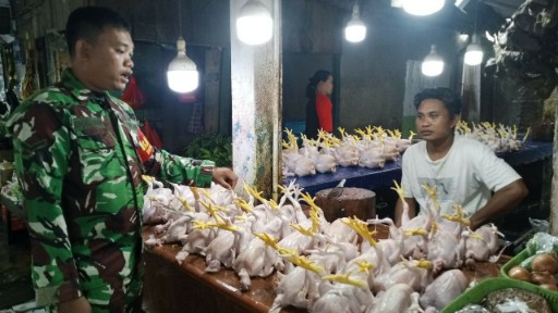 Babinsa Koramil 1420-03/Maritengngae memantau harga ayam di Pasar Sentral Pangkajene Sidrap.