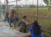 Serda Samparaja dalam Kolaborasi Unik di Desa Padangloang Alau