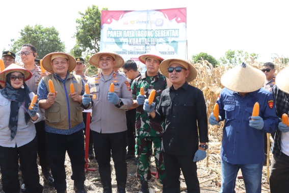Kapolres Sidrap bersama Forkopimda hadiri Panen Raya Jagung Serentak di Desa Teppo, Kecamatan Tellu Limpoe, Kabupaten Sidrap.