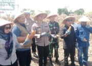 Dandim 1420 Sidrap dan Simfoni Panen Raya Desa Teppo