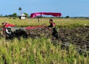 Semangat Baru Petani Saat Babinsa Desa Sereang Pegang Traktor
