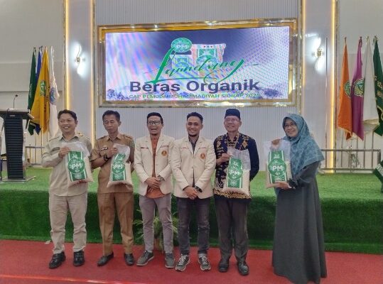 Pemuda Muhammadiyah Luncurkan Produk Beras Organik: Wujud Nyata Gerakan Ekonomi dan Ketahanan Pangan Umat