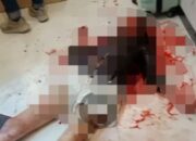 Geger! Penemuan Wanita Bersimbah Darah di Wisma Sidrap