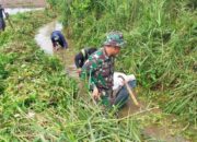Babinsa dan Irigasi yang Kembali Hidup di Bawah Langit Sidrap