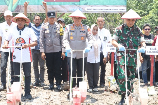Kapolres Sidrap AKBP Fantry Taherong bersama Forkopimda Sidrap menanam jagung serentak di Desa Corawali sebagai dukungan program ketahanan pangan nasional.