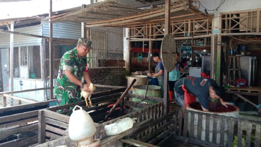 Babinsa Koramil 1420-05 Dua Pitue memantau aktivitas pedagang ayam di Pasar Tanru Tedong Sidrap untuk memastikan harga dan stok bahan pokok tetap stabil.