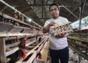 Bupati Sidrap Dorong Petani dan Peternak Transaksi Digital Pakai QRIS