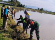 Wujud Nyata Cinta TNI untuk Petani Sidrap