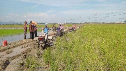 Babinsa dan PPL mendampingi petani mengolah lahan sawah menggunakan alat mesin pertanian di persawahan Lingkungan 1 Bola Lele, Sidrap.