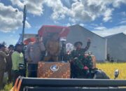 Dandim 1420/Sidrap Ikut Panen!