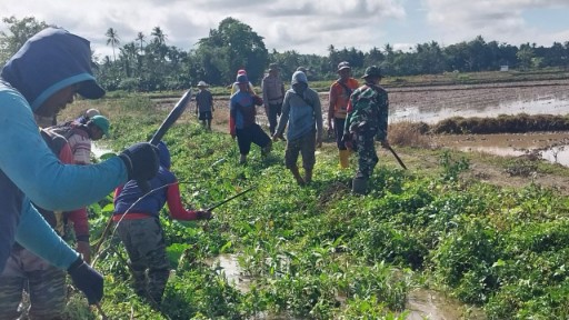 Babinsa Koramil 06/Panca Rijang bersama warga dan kelompok tani membersihkan saluran irigasi persawahan di Desa Abokongan, Kecamatan Kulo, Sidrap.