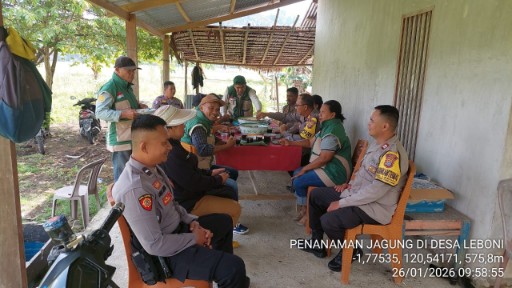 Personel Polri dari Polsek Pamona Utara bersama petani mengikuti kegiatan panen jagung serentak di Desa Leboni, Kabupaten Poso, sebagai dukungan ketahanan pangan nasional.