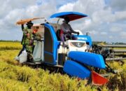 Babinsa Kawal Mobil Combine di Sereang, Ada Apa dengan Panen Padi Ini?