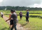 Warga Malakaji Bikin Jalan Tani Tanpa APBD, Gotong Royongnya Viral!