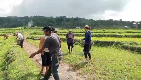 Warga Malakaji Bikin Jalan Tani Tanpa APBD, Gotong Royongnya Viral!