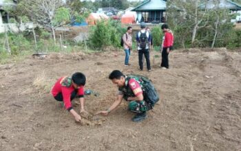 Babinsa & Kokam Gelar Revolusi Hijau di Lombo demi Masa Depan Desa