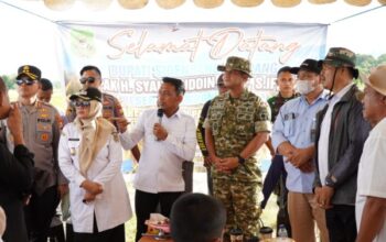 Dandim & Bupati Sidrap Panen Raya Tadah Hujan, Targetkan Stok Pangan Nasional