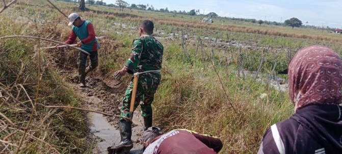 Babinsa Tellu Limpoe Gelar Aksi Nyata Peduli Petani