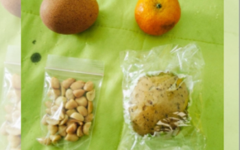 Tokoh Pemuda Soroti Menu MBG Jeneponto: Roti Berjamur dan Buah Busuk Diduga Disediakan