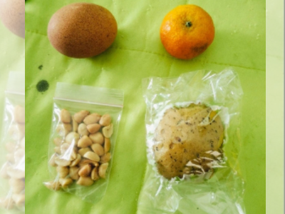 Tokoh Pemuda Soroti Menu MBG Jeneponto: Roti Berjamur dan Buah Busuk Diduga Disediakan