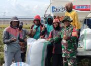 TNI AD Turun ke Sawah, Panen 7 Ton! Bukti Komitmen Pastikan Kesejahteraan Petani