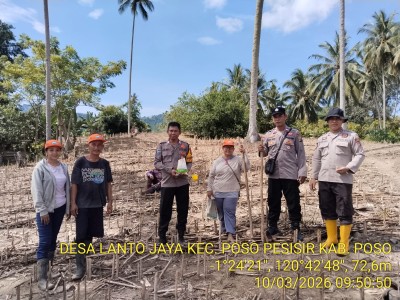 Dukung Ketahanan Pangan, Penanaman Jagung Kuartal I Tahun 2026 Dilaksanakan di Desa Lanto Jaya