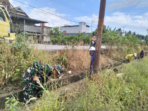 Babinsa Padang Loang Selamatkan Sawah