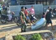 Babinsa Tellu Limpoe Cegah Penyakit di Baula