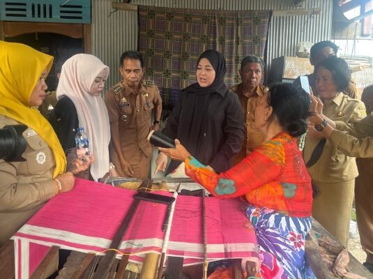 Wagub Sulsel Soroti Lipa Sabbe Sidrap